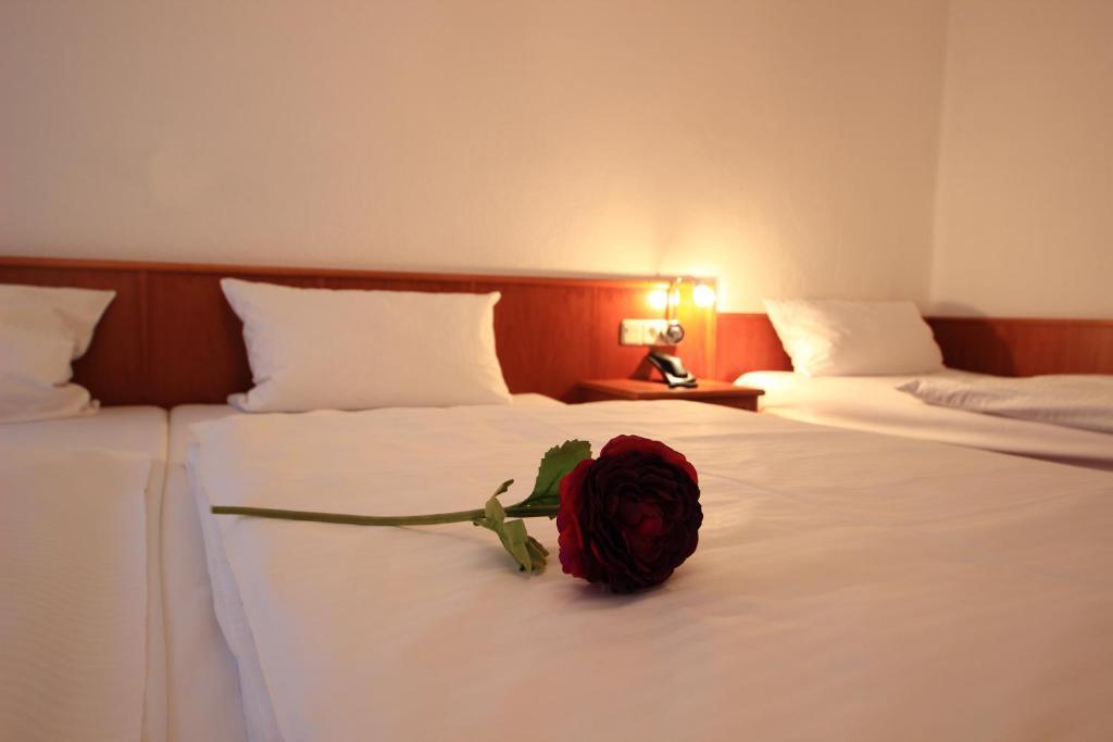 Altstadthotel Фюрт Екстер'єр фото